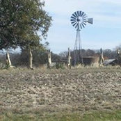 Dyke Hal Miller's photo
