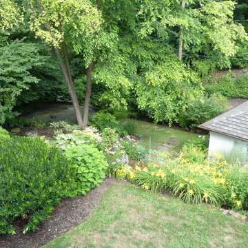 Garage Hillside plantings using lots of native plants