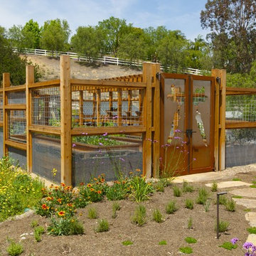 Vegetable Structure