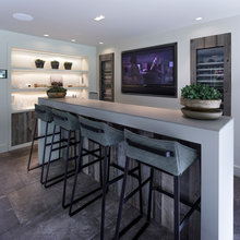 media room with wet bar