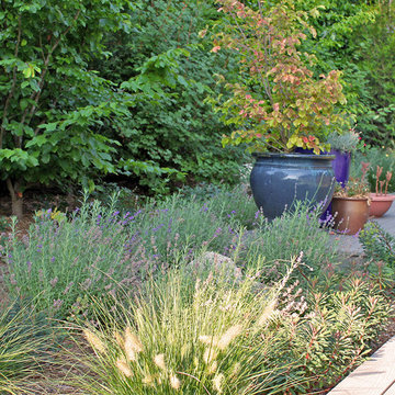 Patio and Container Garden