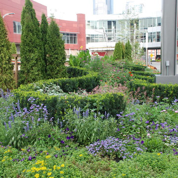 Annuals & Perennials