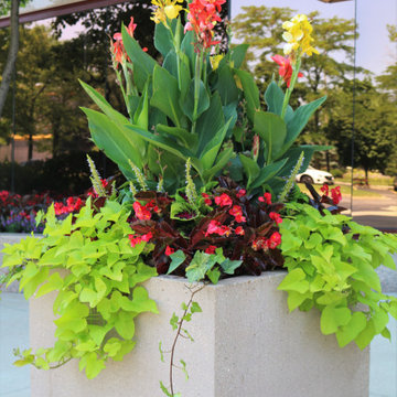 Seasonal Display