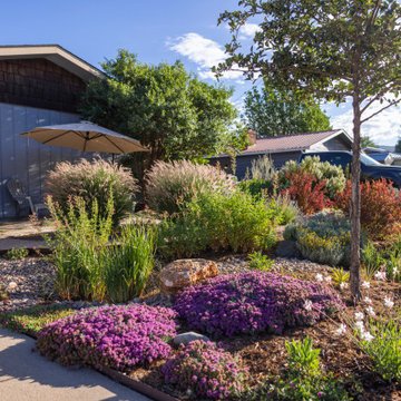 Pollinator Paradise