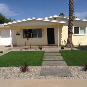 Contemporary Concrete Stepping Stones
