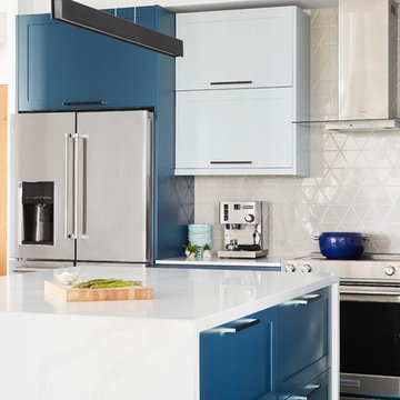 Downtown Toronto Condo Kitchen