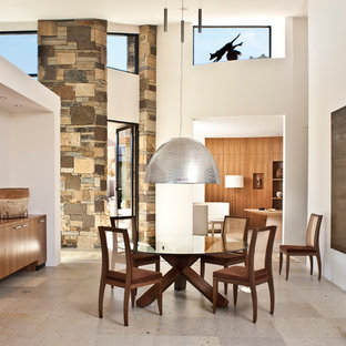 フェニックスの巨大なモダンスタイルのLDKの画像 (白い壁、グレーの床)