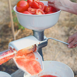 Excalibur Small Kitchen Appliances - Small Kitchen Appliances