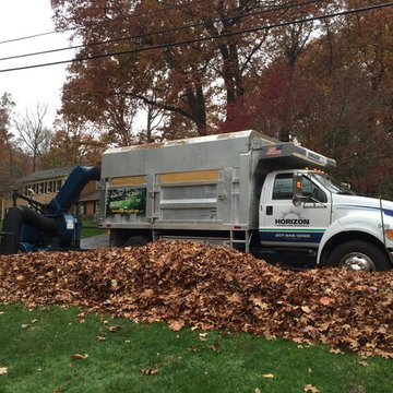 Lawn Maintenance-Leaf Removal