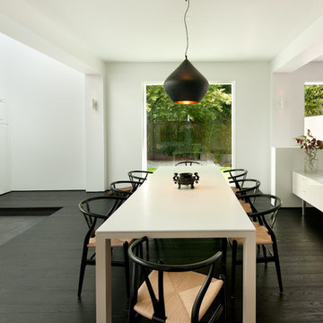 Modern Oasis
