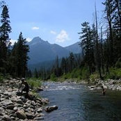 Rose Andrews's photo