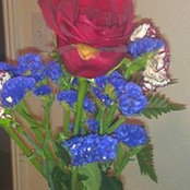 Shirley McGriff's photo