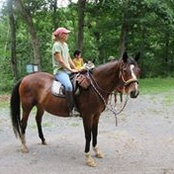 Lindy Liscomb's photo