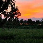 Joni Whitehead's photo