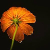 Megan Simmons's photo