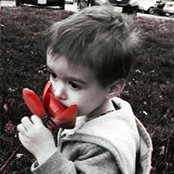 Lisa Rexrode's photo