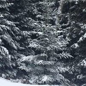 Donna Sroczynski's photo