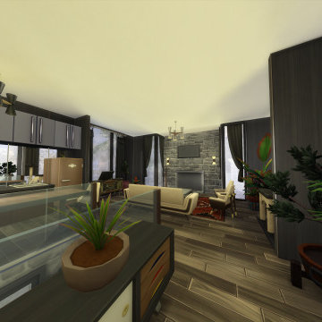 Raised Ranch Mid-Century Modern Home