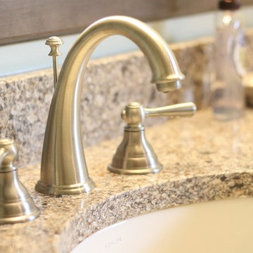 Master Bathroom Update and Powder Room Addition