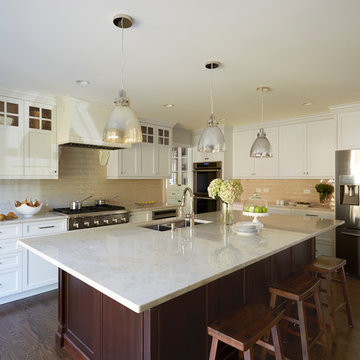 Northbrook Kitchen Transformation