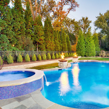 Hinsdale, IL Freeform Swimming Pool and Hot Tub with Fire and Glass