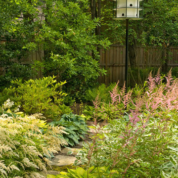 A Water-Wise Garden in Bethesda