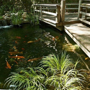 Bridge Over Koi Pond (Long Island/NY):