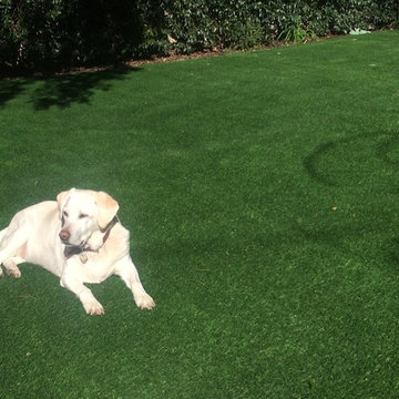 Santa Monica, 750 sqft Dog Run