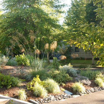 Early Stages of the Garden