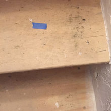 Mold in basement