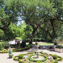 garden grass area