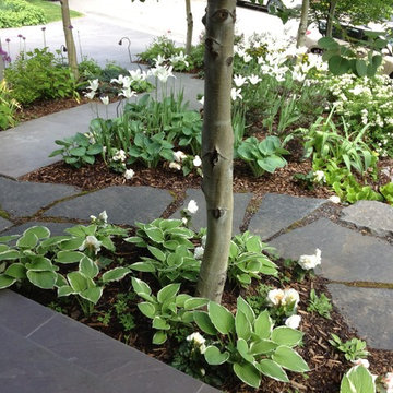The Raspberry Patch