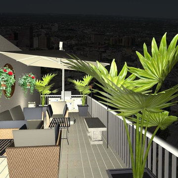Ritz Penthouse Patio 3d Pics