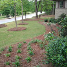 Landscaping Ideas