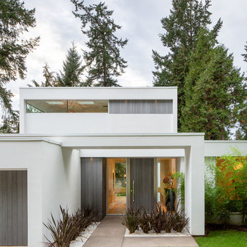 Modern Luxury Project