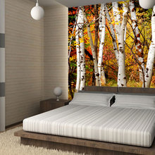 schin1198's Ideas