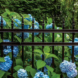 ActiveYards Fencing Solutions - Home Fencing And Gates