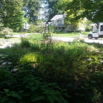 Rockford mulch-less front yard