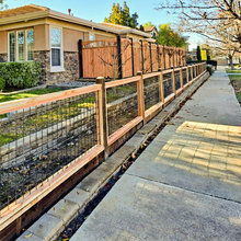 Yard - dog fence