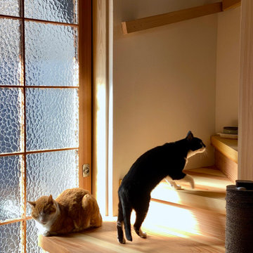 猫と暮らす家