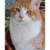 Barbara Roth's photo