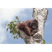 Lance Adams's photo