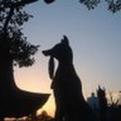 Ryan Betesh's photo