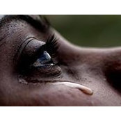 Geet Joshi's photo