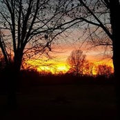 Sue Dugan's photo