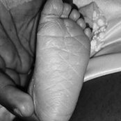 Andrew Litchmore's photo