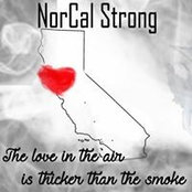Isabel Vargas's photo