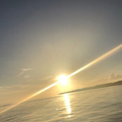 Foto di Tani Ti