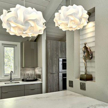 Los Altos Contemporary
