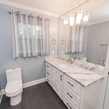 Man Cave, Dog Washing Station & Bath Remodel
